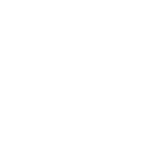 logo transparent solitrone